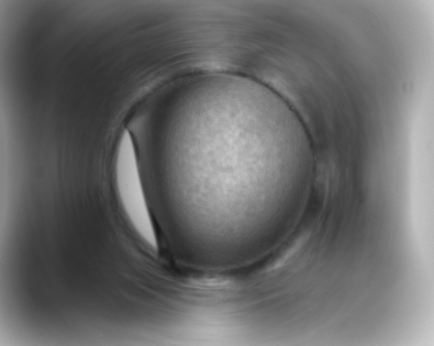 X0000088410063200706051201