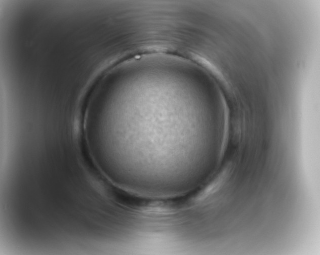 X0000088410064200706051201