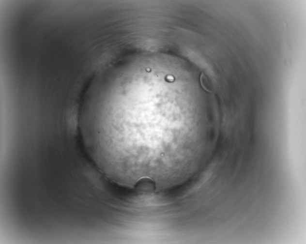 X0000088410065200706051201