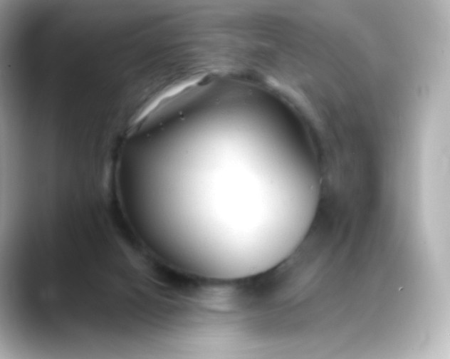 X0000088410066200706051201