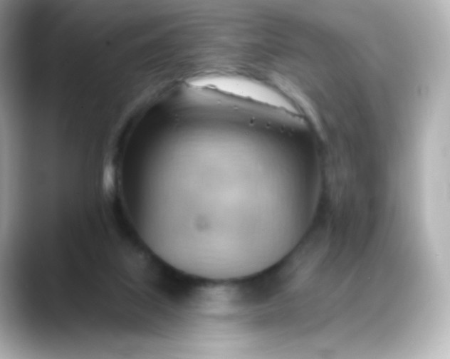 X0000088410067200706051201