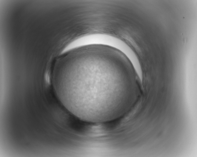 X0000088410068200706051201