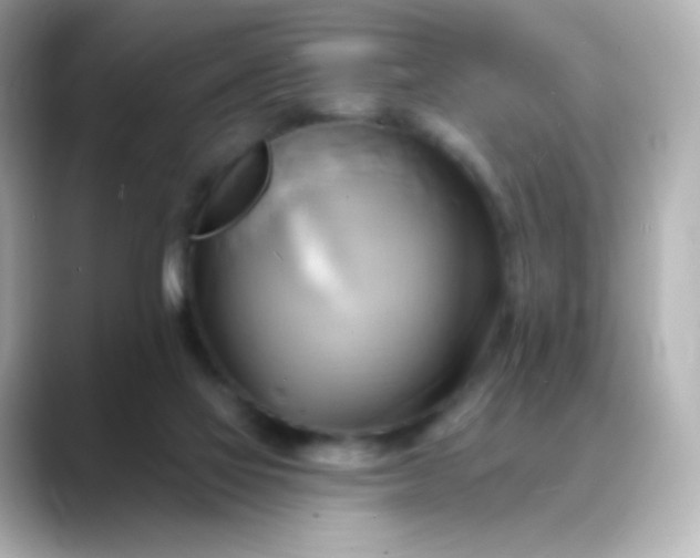 X0000088410069200706051201