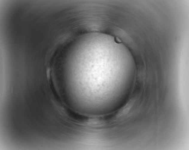 X0000088410070200706051201