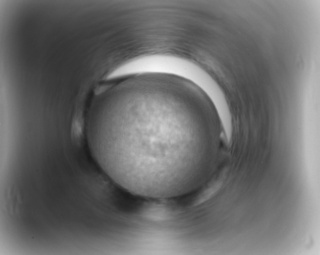 X0000088410072200706051201