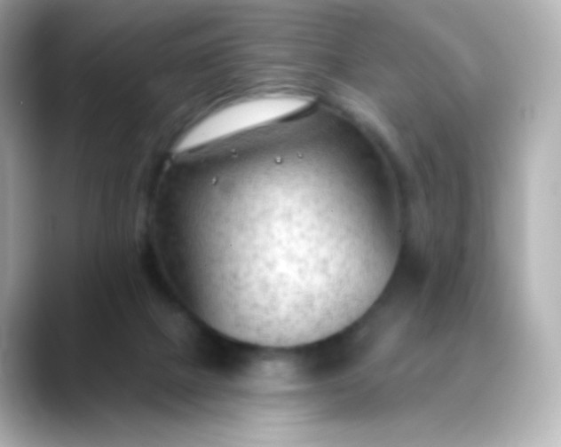 X0000088410073200706051201