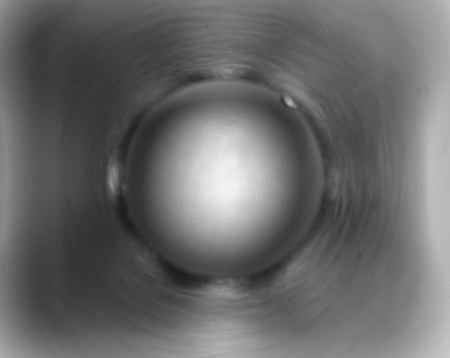 X0000088410076200706051201