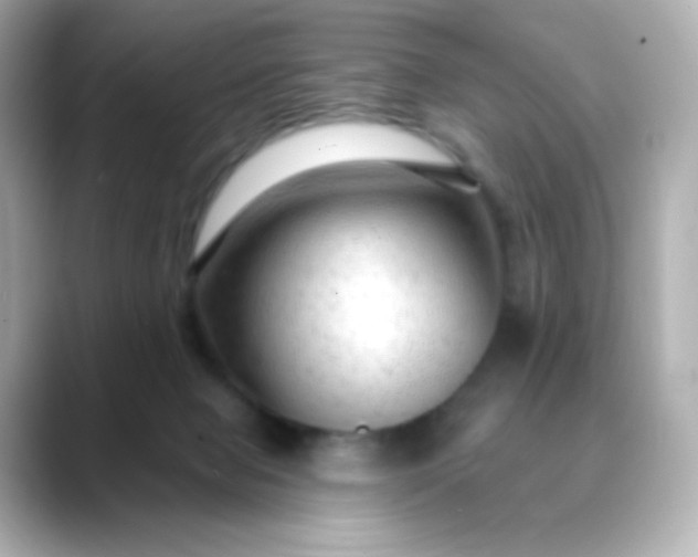 X0000088410077200706051201