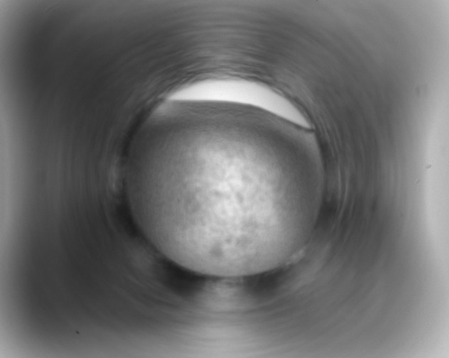 X0000088410078200706051201