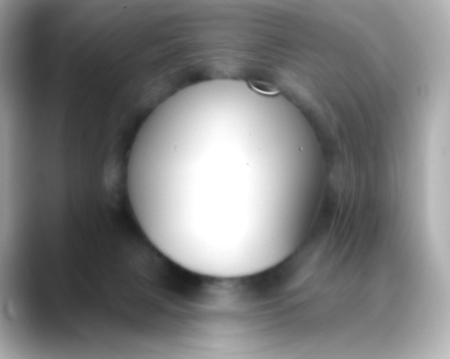 X0000088410079200706051201