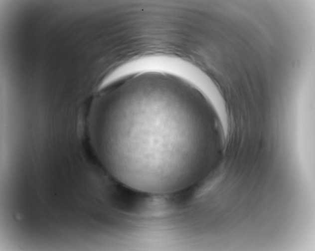 X0000088410080200706051201