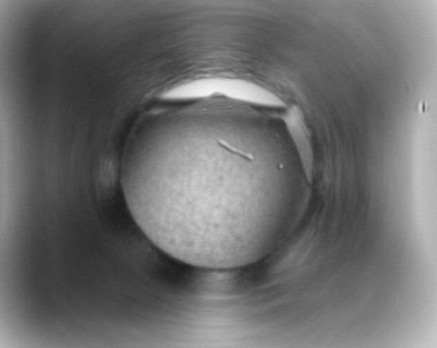 X0000088410081200706051201