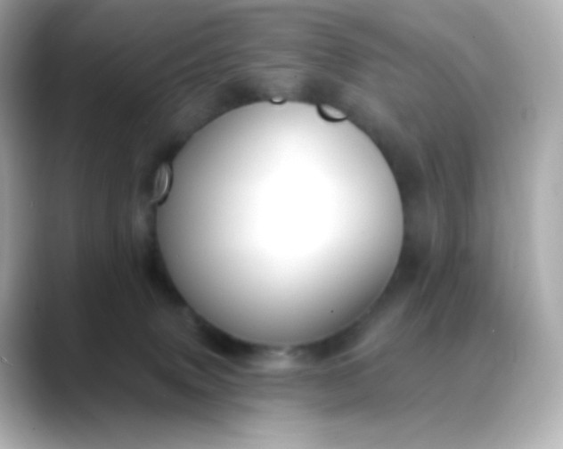 X0000088410083200706051201