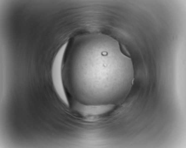 X0000088410084200706051201