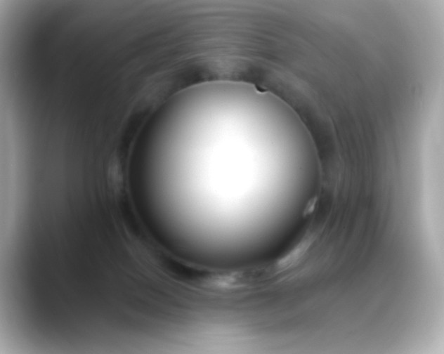 X0000088410086200706051201