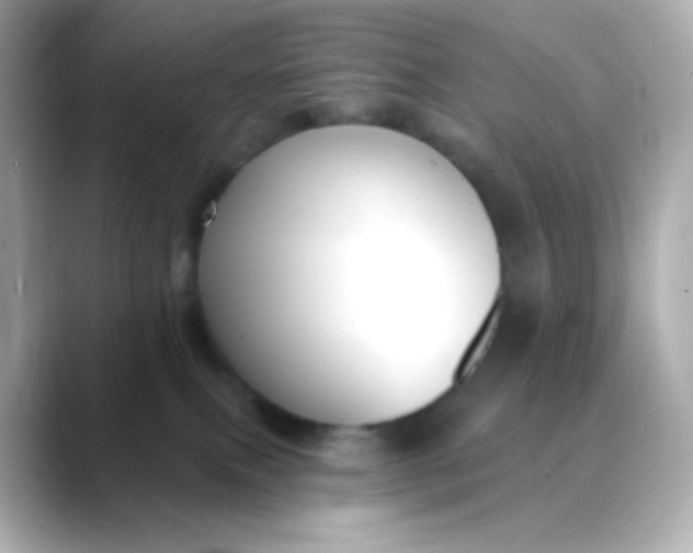 X0000088410087200706051201