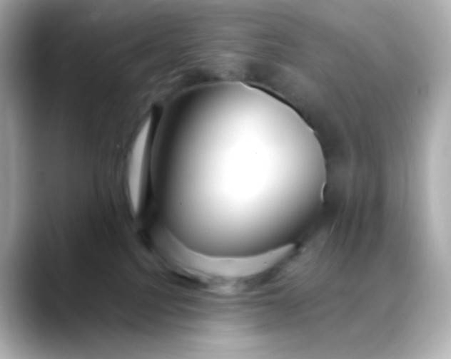 X0000088410088200706051201