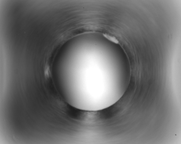 X0000088410089200706051201