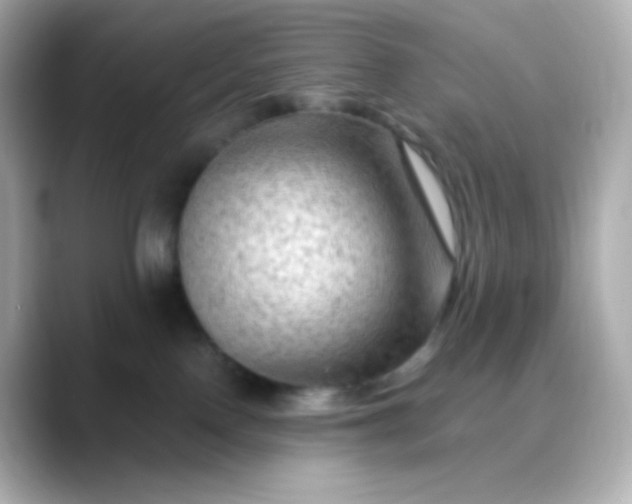 X0000088410090200706051201