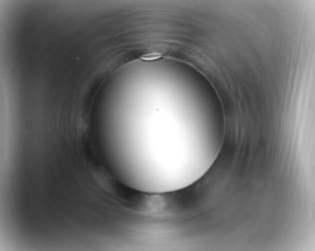 X0000088410091200706051201