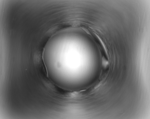 X0000088410092200706051201