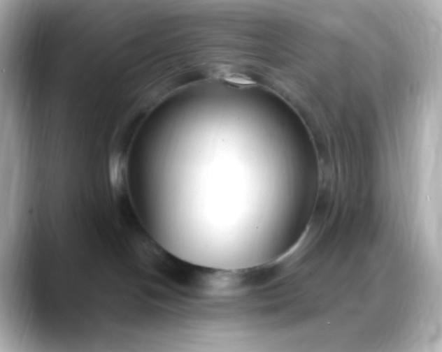 X0000088410094200706051201