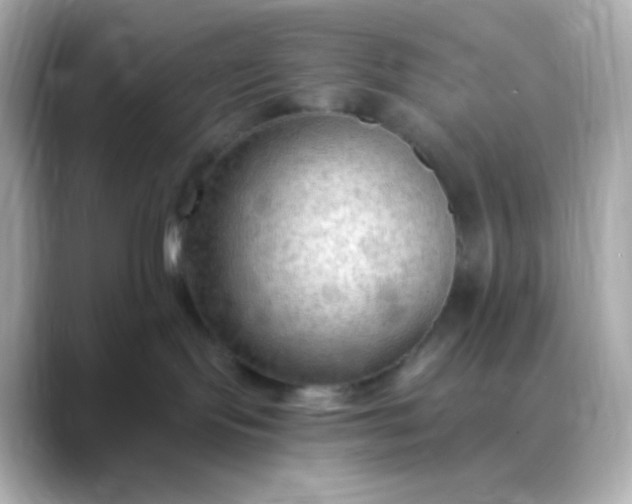 X0000088410095200706051201