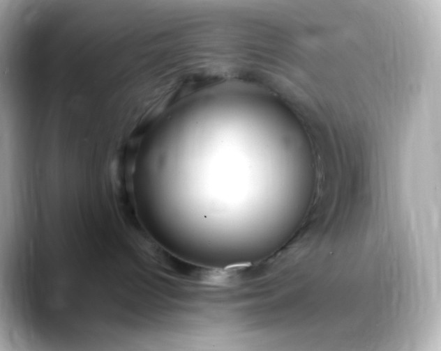 X0000088410096200706051201