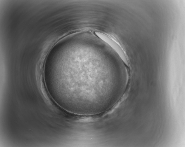 X0000088410097200706051201