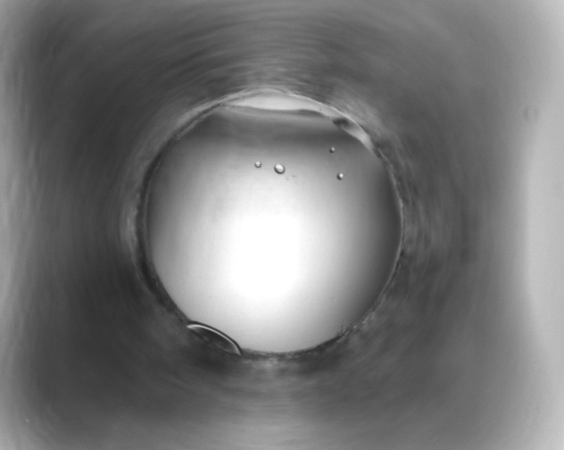 X0000088410098200706051201