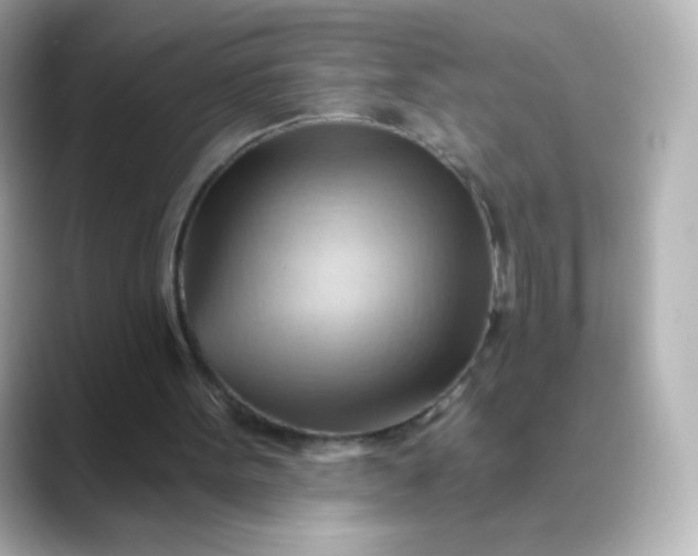 X0000088410099200706051201