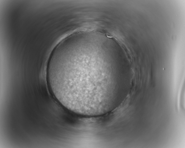 X0000088410100200706051201