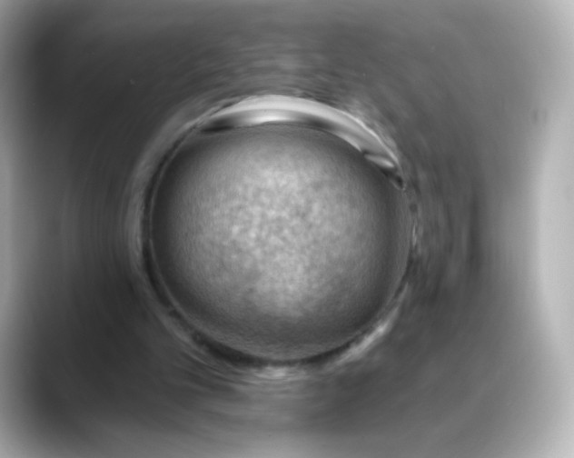 X0000088410101200706051201