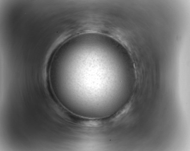 X0000088410102200706051201