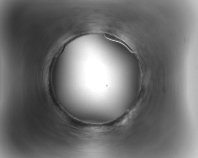 X0000088410103200706051201