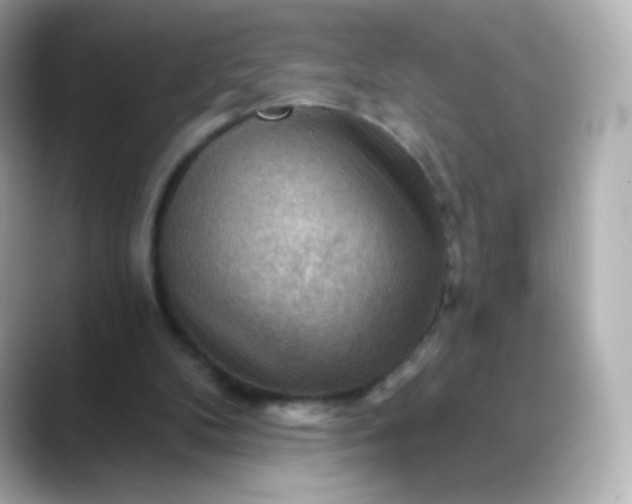 X0000088410104200706051201