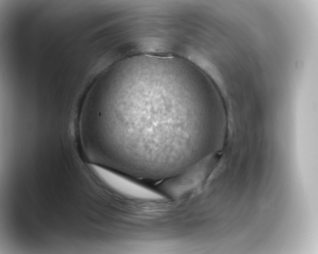 X0000088410105200706051201