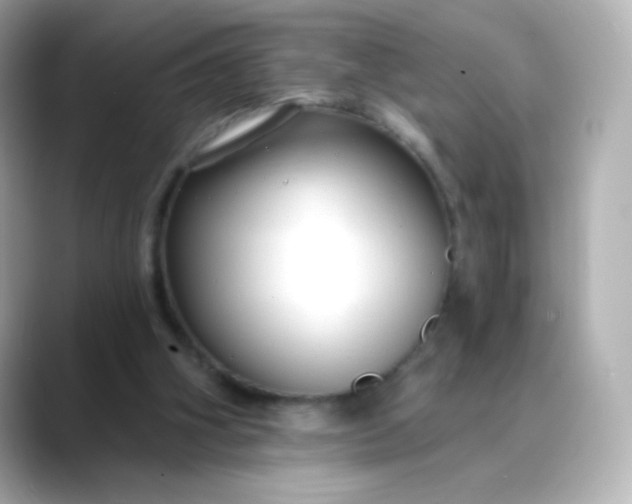 X0000088410106200706051201