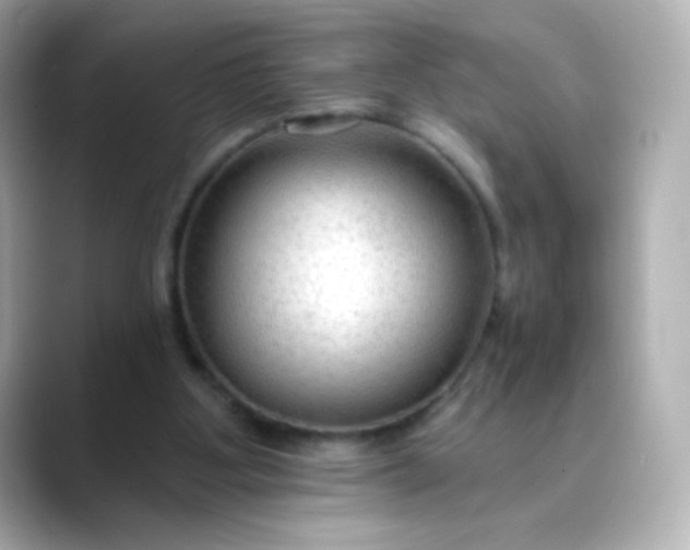 X0000088410107200706051201