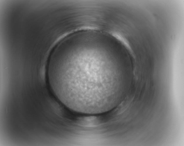 X0000088410108200706051201