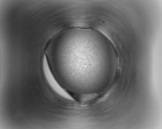 X0000088410109200706051201