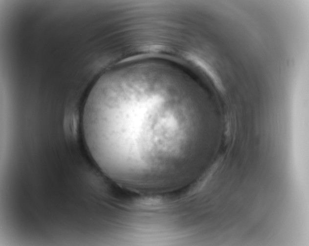 X0000088410110200706051201