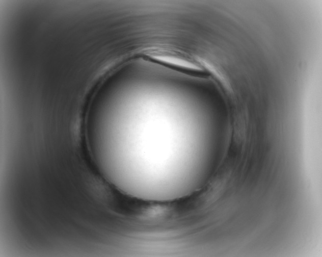 X0000088410111200706051201