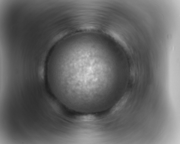 X0000088410112200706051201