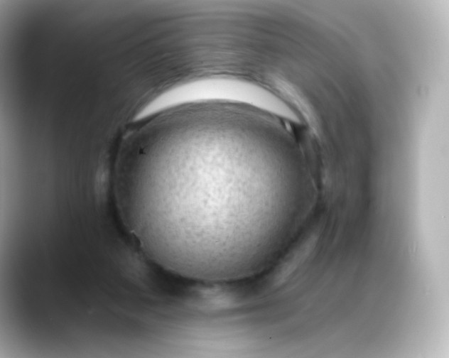 X0000088410113200706051201