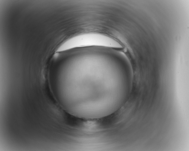 X0000088410114200706051201