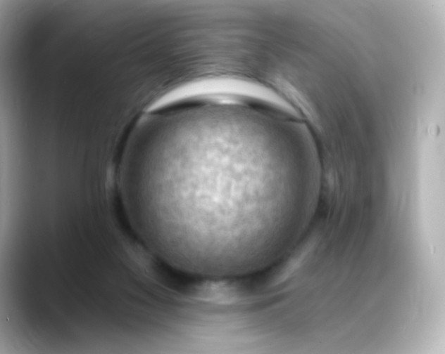 X0000088410117200706051200