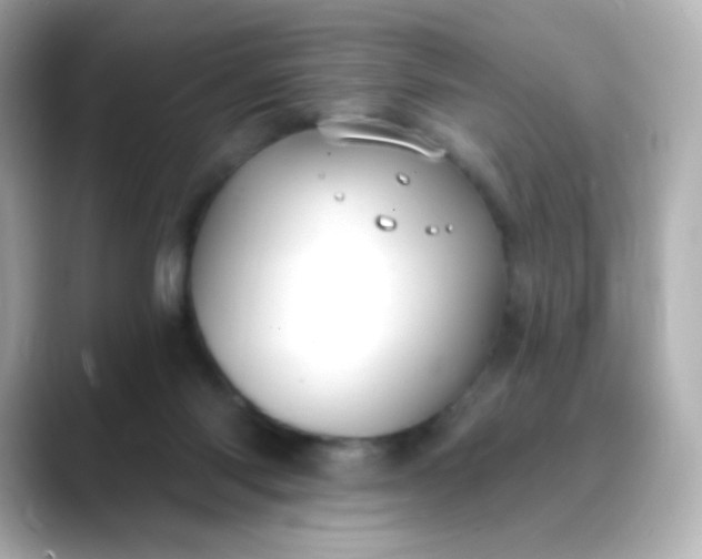 X0000088410118200706051200