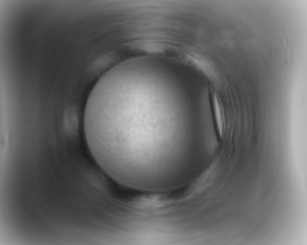 X0000088410120200706051200