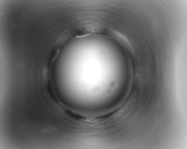 X0000088410121200706051200